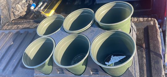 Small Garden Plant Pots For Seeds - Trays Of 6 W/Holder 2/$10 6/$25 Pots 20/$10 50/$20 6.6 X 6.1 Wxh