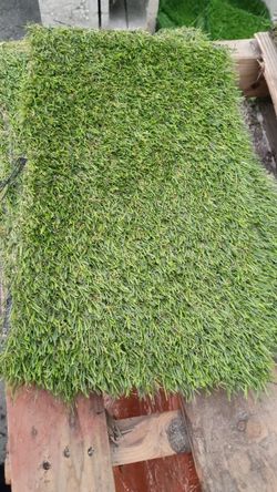 Artificial Turf - Sunshine