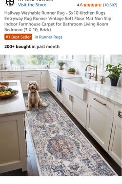 Washable Vintage Runner Rug 3x10 Brick