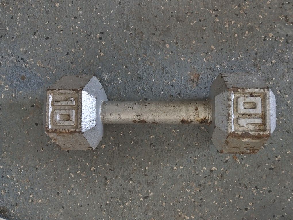 ONE 10 POUND DUMBBELL.