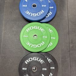 Rogue Color Echo Bumper Set 160LBS