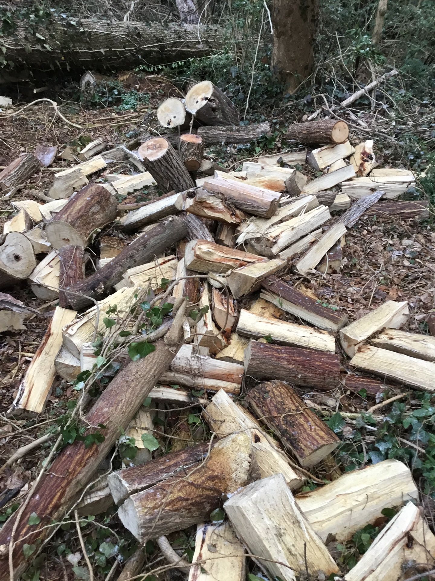 Firewood