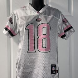 Jacksonville jaguar football jersey - pink