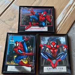 8X10 Spider-Man Pictures