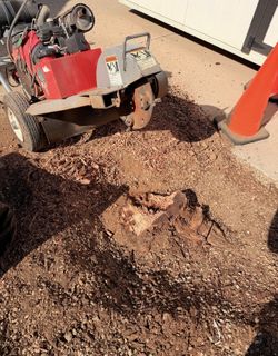 Tree Remover stump Grinder