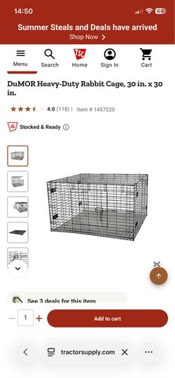 Dumor Rabbit Cages