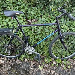 Diamond Back Ascent EX mountain/commuter Bicycle 20” Frame