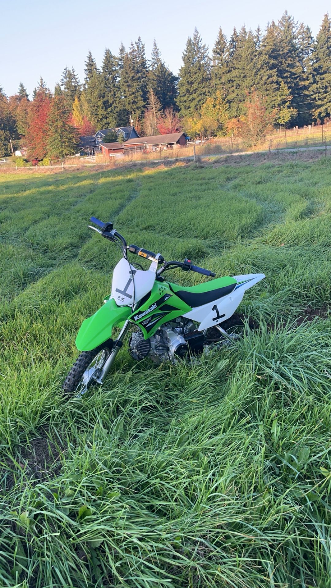 2014 klx110