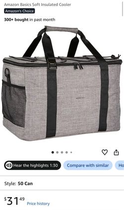 Beach Bag / Cooler with ice packs