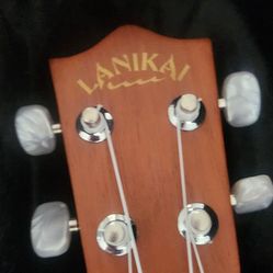 Ukulele