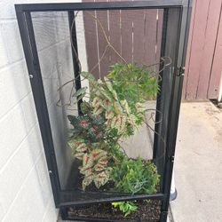 Chameleon Enclosure