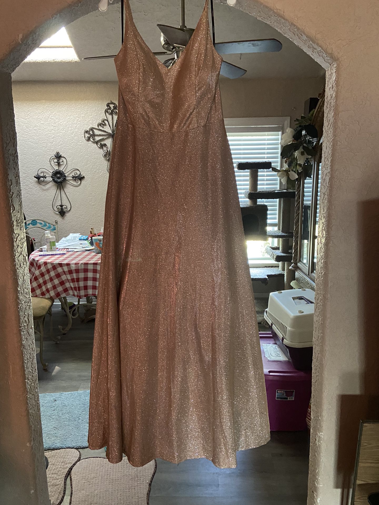 Gold/Champagne Formal/Prom Dress (size 17!)