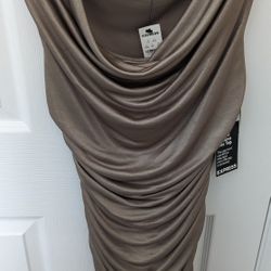 Express Silver Dress