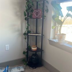 5-Tier Corner Bookshelf 