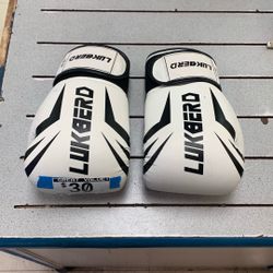 Lukberd Boxing Gloves 