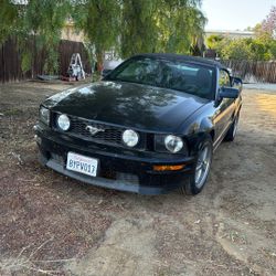 Mustang 2005 For Sale