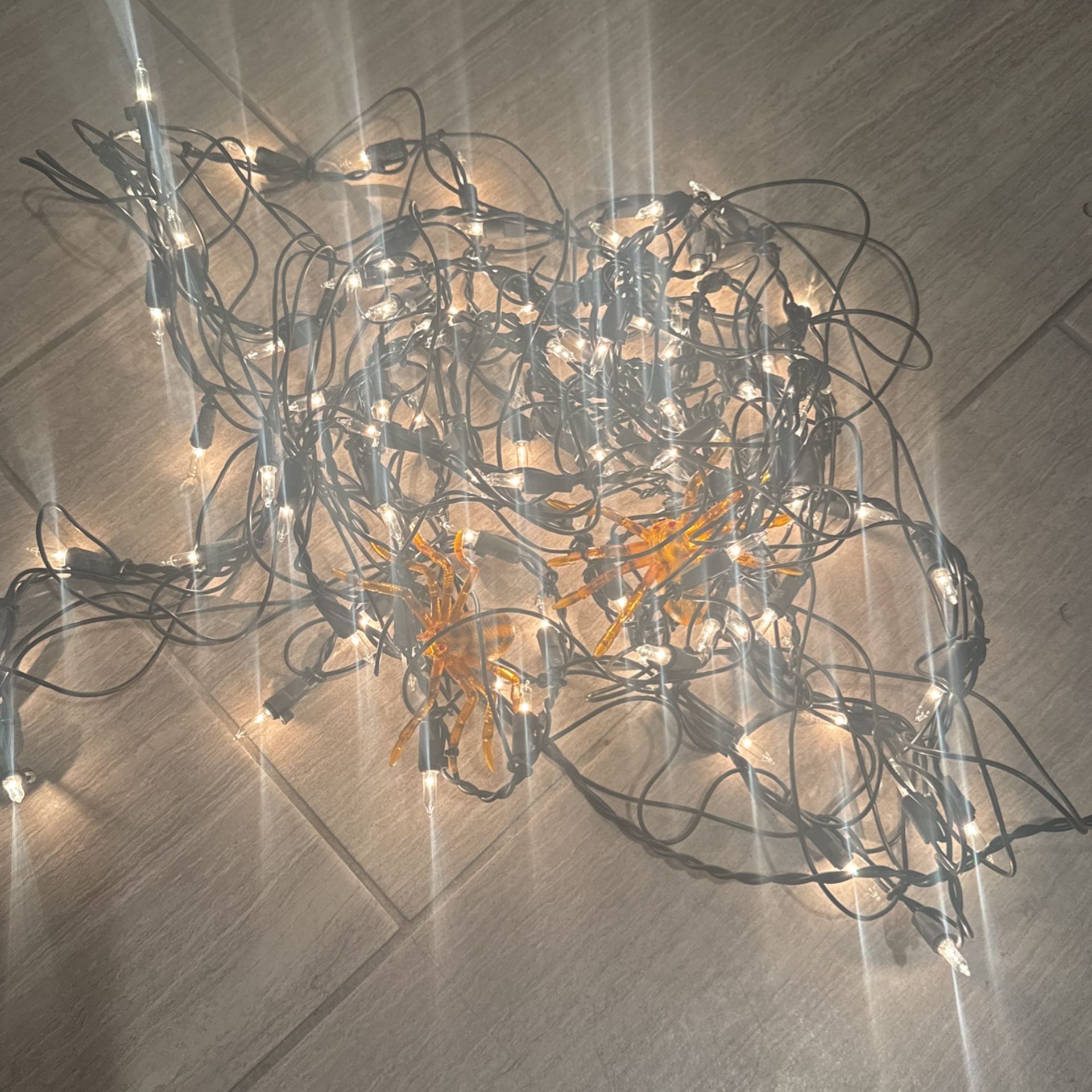 Halloween Lights 