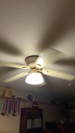 Hunter ceiling fans (2) $20 each