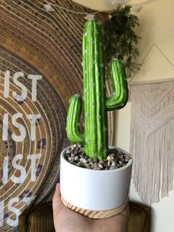 Faux Cactus Plant Decoration