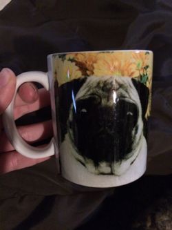 Pug lover?