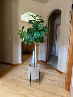 faux fig tree (5ft) with metal pot 68" *ideal for living room, offices no maintenance needed 🪴