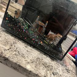 10 Gallon fish Tank With Decorations 