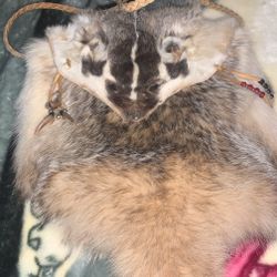 Badger Handbag
