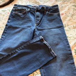 Joes Jeans New No Tags Size 31