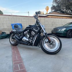 2003 Harley Vrod VRSC