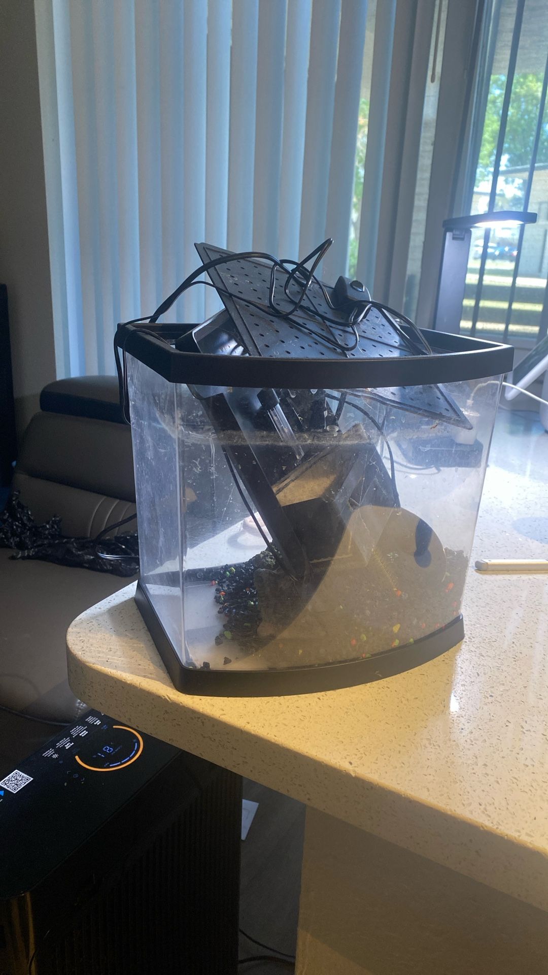 Betta Fish Tank