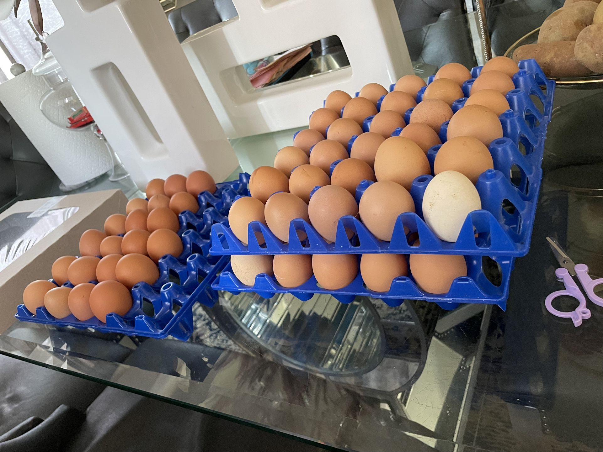 Selling Chicken Eggs