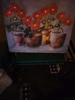Potted Geraniums Lighted Canvas Picture