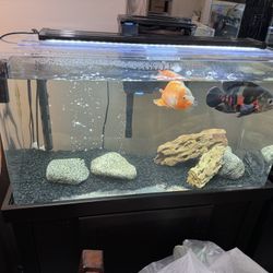 55 Gallon Acrylic Aquarium With Stand 