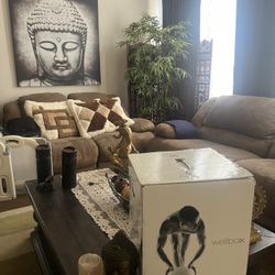 Well box Guitay Body Optimizer Body Therapy Machine