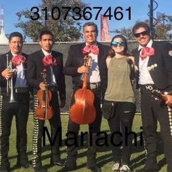 Guitarron Arco DeMariachi