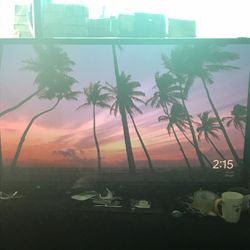 65” Lg Tv
