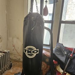 Punching. Bag And Speed Bag Together