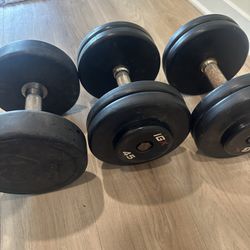 45lb Dumbbells 