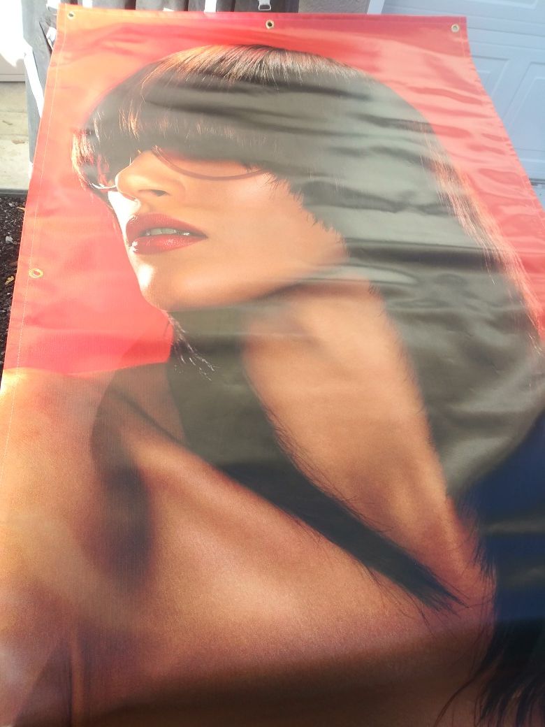 Vinyl Posters for Beauty Salon or School