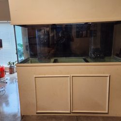 216 Salt Water Aquarium 
