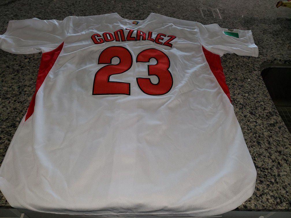 Adrian Gonzales Olympic Baseball Jersey