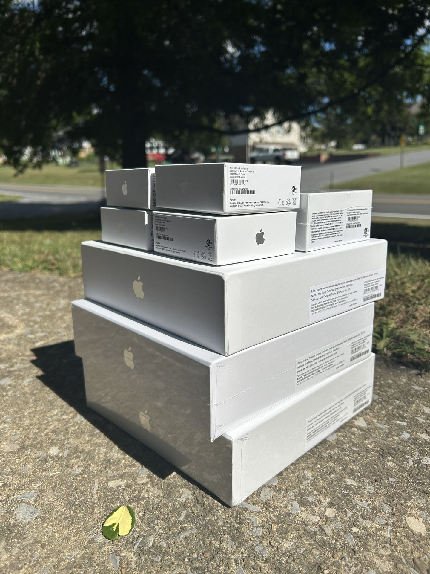 Apple AirPods & Air Maxes