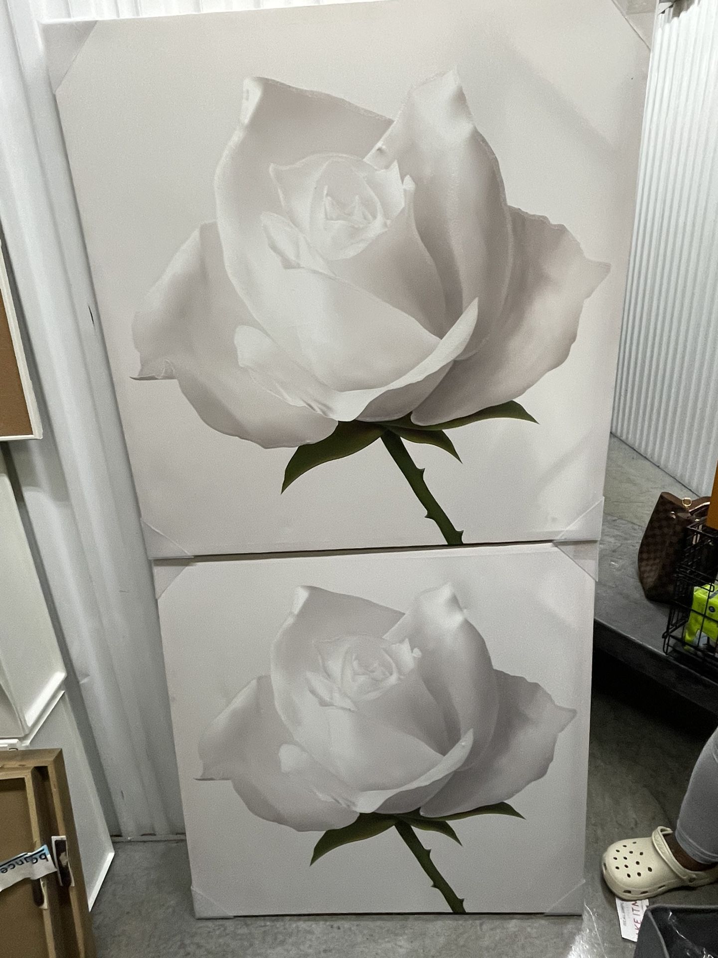 2 White Rose Canvas