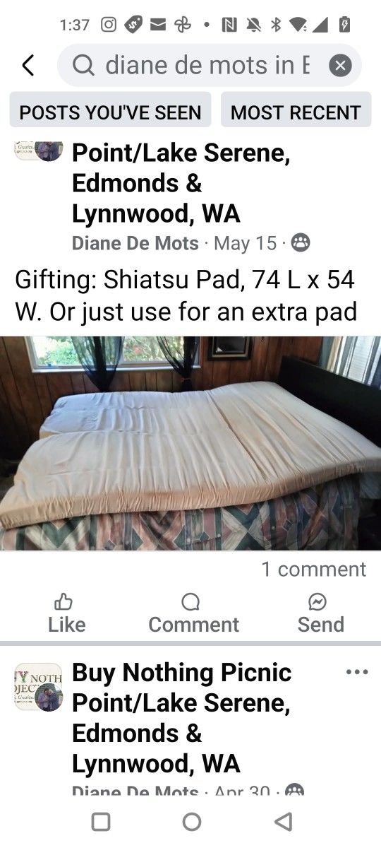 Shiatsu Pad