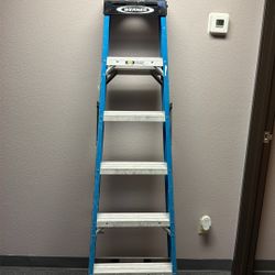WERNER Ladder 