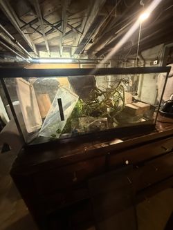 27 Gallon Reptile/Fish Tank With Reptile Accessories