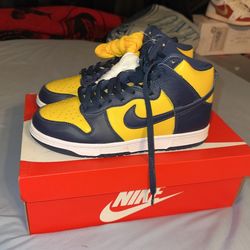 Michigan Dunk 