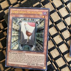 Various Rare Yugioh Cards (I Believe Their Gold Rares 