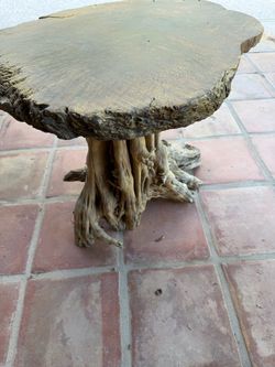 Unique end table made of wood and cactus