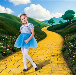 Blue Gingham Fairy Tale Tutu Dress for Kids, 3+
